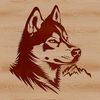 Realistic Husky Head Illustration A realistic digital illustration of a Siberian Husky's head.