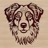 Dog Breed Design Vector Art A breed-specific illustration of an Australian Shepherd dog's head.