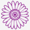 Daisy Illustration in Transparent PNG Format A white daisy flower with yellow center on a transparent background.