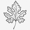 Beautiful Clip Art Leaf A single leaf with detailed veins and edges, suitable for vector design and cutting machine projects.