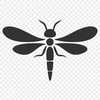 Free Dragon Fly SVG, PNG, PDF And DXF Files