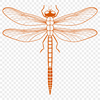 Vector Dragonfly Designs for Cutting Machines A detailed illustration of a dragonfly in various poses, suitable for vector design and cutting machine applications.