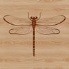 A colorful vector illustration of a dragonfly in flight, suitable for graphic design projects.