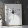 Exquisite Dragonfly Illustration A detailed illustration of a dragonfly in mid-air, featuring intricate wings and body design.