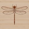 Beautiful Dragonfly In Flight Design A detailed vector illustration of a dragonfly in flight, suitable for graphic design projects.