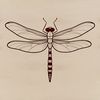 A dragonfly in flight, depicted as vector artwork suitable for digital use.