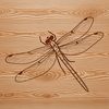 Dragonfly SVG Clip Art An SVG vector art representation of a dragonfly, ideal for use with Cricut or laser cutter projects.