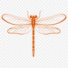 Detailed Dragonfly Illustration Vector A detailed illustration of a dragonfly with intricate details, suitable for cutting machines like Cricut or laser cutters.