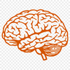 Creative Brain Printable Image In PNG For Free Download