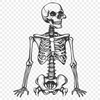 Unique Skeleton Illustration - Free DXF Download