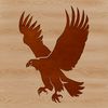 A large bird with sharp talons and feathers, soaring through the air.