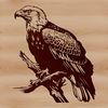 A bird of prey perched on a branch, with feathers spread wide in a majestic stance.