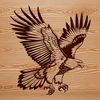 A detailed illustration of a majestic eagle in flight, with outstretched wings.