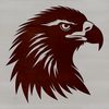 A detailed illustration of an eagle's head, featuring sharp facial features and feathers.