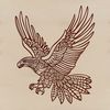 Spread Wings Beauty A majestic bird of prey in flight, with spread wings and sharp talons.