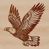 Birds of Prey Eagle Silhouette Graphic Close-up illustration of a soaring eagle in flight, depicted as a vector graphic.
