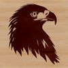 Wild bird illustration A close-up illustration of an eagle's head with feathers and beak.