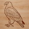 A majestic bird of prey perched on a branch, depicted in detailed vector art.