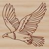 A realistic illustration of a soaring eagle in flight.