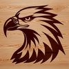 A detailed illustration of a majestic eagle's head, suitable for graphic design and vector art.