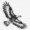 Beautiful Eagle In SVG, PNG, PDF And DXF File Formats - Free