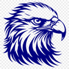 Stunning Eagle Image - Free PNG Download