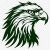 Beautiful Eagle Vector Drawing