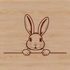 Bunny Peeping From Behind a Leaf A cartoon rabbit peeking out from behind a leaf.