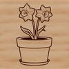 Daffodil Plant in a Flower Pot A single stem daffodil plant growing in a flower pot with green foliage.