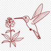 Floral Branch Bird Design A vibrant illustration of a hummingbird perched on a floral branch, created as a vector design.