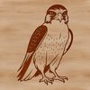 Falcon Bird SVG Design Falcon bird in flight, vector illustration for cutting machines or laser engraving.