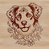 Digital Dog Portrait A digital illustration of the head of an Australian Shepherd dog.
