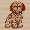 A small breed dog, the Shih Tzu, is depicted in an ornate sitting position.