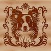 A breed-specific illustration of a Shetland Sheepdog's head, suitable for customization in various design software.