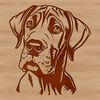 A large breed dog's head, depicted in vector format with detailed lines and shapes.