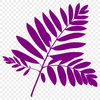 Beautiful Leaf Vector Illustration A high-quality vector illustration of a single leaf with detailed lines and shapes.