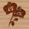 Elegant Vector Illustration of an Orchid Plant A detailed vector illustration of a blooming orchid plant with intricate petals.
