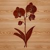 Illustration of a detailed orchid flower in vector format.