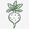 A simple illustration of a radish root vegetable, suitable for commercial or personal use in various design applications.