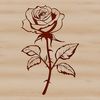 A detailed illustration of a rose plant with intricate petals and stem, suitable for gardening and tattoo design.