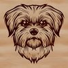 Small Dog Breed Portrait Vector Art A small-sized dog breed with long fur and distinctive face features.