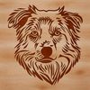 Vector graphic of a typical Australian Shepherd animal head.