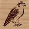 Falcon in Flight Silhouette Vector Art A detailed illustration of a falcon in flight, ideal for crafting and DIY projects.