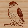 Bird Silhouette Vector A detailed illustration of a falcon in flight, depicted as a vector graphic for various digital uses.