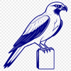 Falcon Illustration in Flight SVG illustration of a falcon in flight with bold lines and simple shapes.