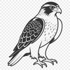 Free Falcon SVG Icon An accurate digital representation of a bird of prey, specifically a falcon, rendered as a scalable svg file.