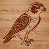 Vector Illustration of a Falcon in Flight Illustration of a falcon in vector format.