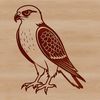 High-Resolution Falcon SVG Cut File A high-quality vector illustration of a falcon in silhouette form.