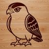A detailed illustration of a bird in flight, labeled as a falcon.