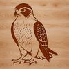 Vector Bird Silhouette with Wings Spread Vector illustration of a falcon in flight, suitable for commercial and personal use as a cut file or clipart.